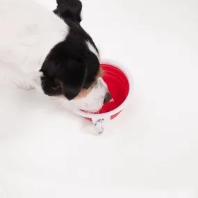 ThIrsty Dog Bowl - Chilli Red